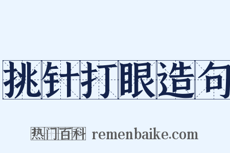 挑针打眼造句是什么意思的图片